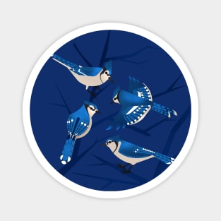 Blue Jay Magnet